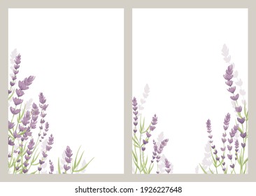 Lavender Flowers. Vector Illustration, Banner With Wildflowers, Background For Postcard Or Invitation.	