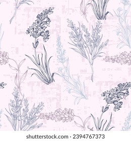 Flores de lavanda vectorial sin fisuras. Hermosas telarañas de estilo doodle retro ahogadas a mano. Excelente para textiles de verano y primavera, pancartas, papeles pintados, envoltura.