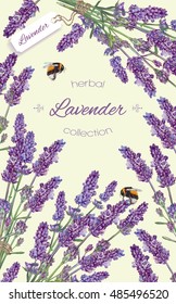 Lavender flowers vertical banner with bees. Vector design for cosmetics, store, beauty salon, natural and organic products, health care products,aromatherapy. Best for packaging, advertising booklet 