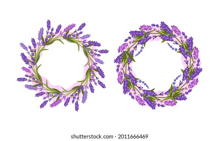 Lavender Fragrant Floral Twigs Arranged in Circle Frame Vector Set