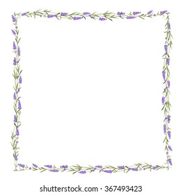 The Lavender frame line.