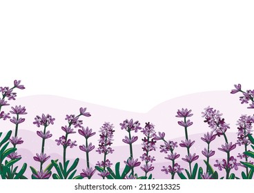 vector de marco lavanda. ilustración vectorial de campo lavanda. vectorart
