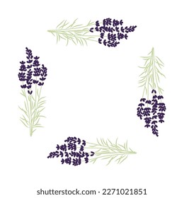 lavender frame, vector graphic design element