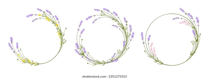 Marco de lavanda con flores, decoración de hierbas aromáticas de flores circulares. El laurel pintado a mano deja elementos decorativos de boda. Rama floral rústica botánica y hojas monograma de hierba, pegatina postal