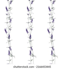 Garganta de lavanda, patrón sin fisuras en un fondo transparente, vector.