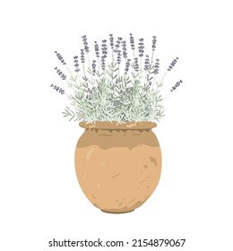 Lavender grass in an old stylish pot, isolated vector Illustration. Home garden and decor design element. Healing and cosmetics potted herb. Garden Medical plant. Icon for natural and organic product