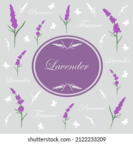 Ilustración vectorial de la tarjeta de saludo de Lavender. Delicado marco con flores. Plantilla de banner de verano de primavera, emblema, postal. Lavanda, mariposas, inscripción París, Provenza.

