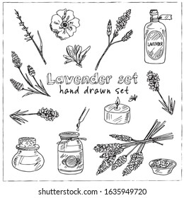 Lavender hand drawn doodle set. Vector illustration. Isolated elements on white background. Symbol collection.