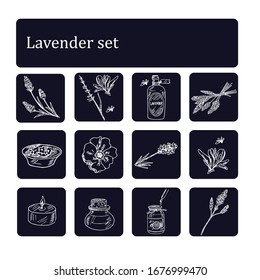 Juego de doodle dibujado a mano con lavanda. Ilustración vectorial. Elementos aislados sobre fondo blanco. Colección de símbolos.