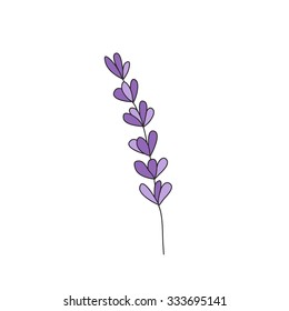 lavender hand drawn element. vector illustration