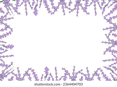 Fondo de flores dibujadas a mano de lavanda