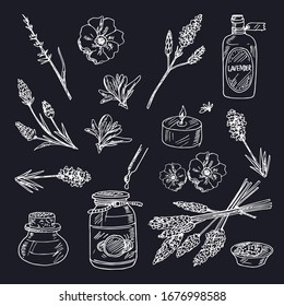 Lavender hand drawn set Vector illustration