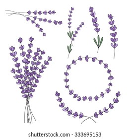 lavender hand drawn set. vector illustration