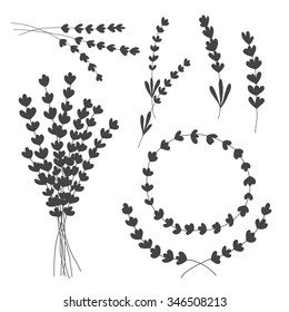 lavender hand drawn set. vector illustration