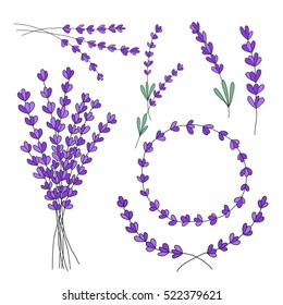 lavender hand drawn set. vector illustration