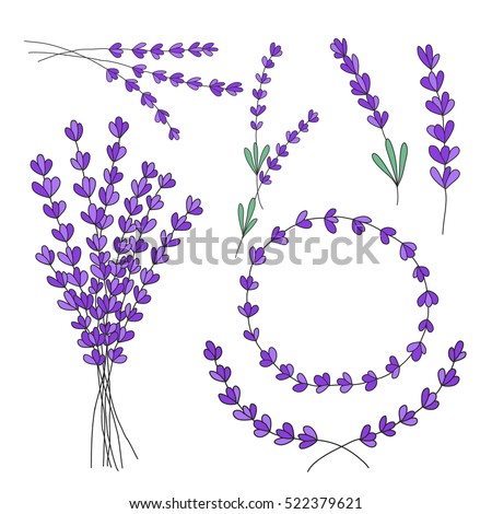 Lavender Hand Drawn Set Vector Illustration Stock Vector (Royalty Free
