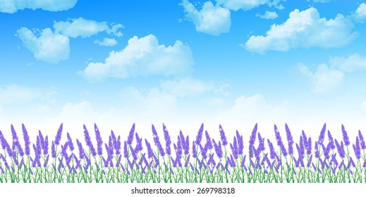  Lavender herb background