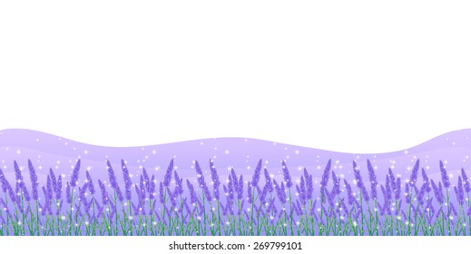  Lavender herb background