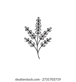 "Lavender Herb Flower Aromatic Botanical Illustration."