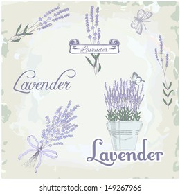 Lavender herb flower, floral vintage background