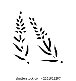 lavender herb glyph icon vector. lavender herb sign. isolated contour symbol black illustration