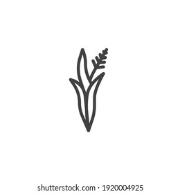 Lavender herb line icon. linear style sign for mobile concept and web design. Lavender flower outline vector icon. Symbol, logo illustration. Vector graphics