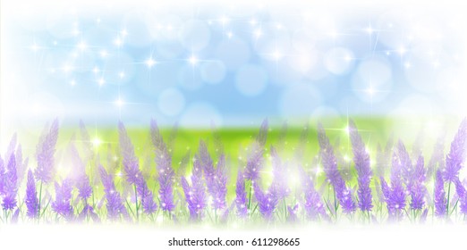 Lavender herb scenery background