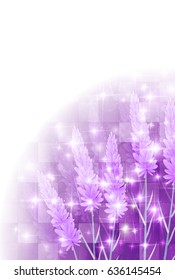 Lavender herb scenery background