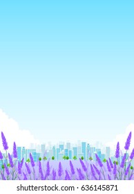 Lavender herb scenery background