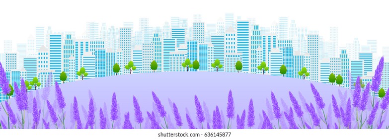 Lavender herb scenery background