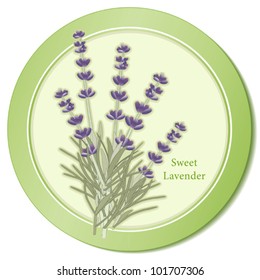 Lavender Herb. Sweet flowers for the garden and perfume, classic ingredient of French cooking herb blend, Herbes de Provence. See other herbs and spices in this series. EPS8 compatible. 