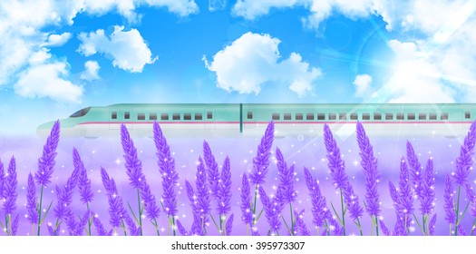 Lavender Hokkaido landscape background