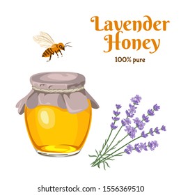 Lavender honey in glass jar, bee and twigs of lavender plants isolated on  white background. Vector illustration of sweet healthy food in cartoon simple flat style.