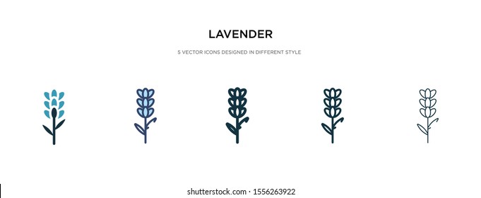 lavender icon in different style vector illustration. two colored and black lavender vector icons designed in filled, outline, line and stroke style can be used for web, mobile, ui