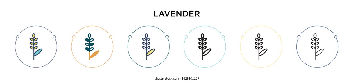 Lavender icon in filled, thin line, outline and stroke style. Vector illustration of two colored and black lavender vector icons designs can be used for mobile, ui, web