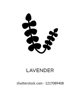 Lavender icon. Lavender symbol design from Nature collection. Simple element vector illustration on white background.