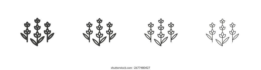 Lavender icon symbol. Vector isolated illustration.