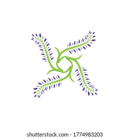Icono de lavanda e ilustración de la plantilla del vector de símbolo