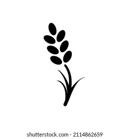 lavender icon vector design templates