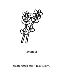 Lavender icon vector on white background. Black icon illustration