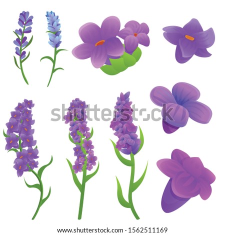 Lavender icons set. Cartoon set of lavender vector icons for web design