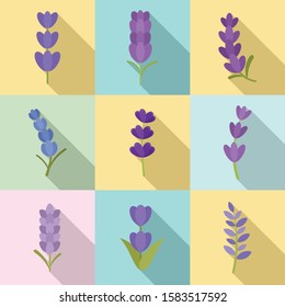 Lavender icons set. Flat set of lavender vector icons for web design
