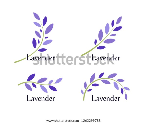 ラベンダーのアイコンセット 紫色の葉とラベンダーの緑の枝 自然のハーブのロゴテンプレート ベクターイラスト のベクター画像素材 ロイヤリティフリー