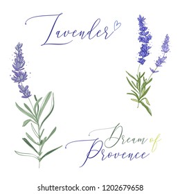 Lavender illustration wreath ith herbs and lettering. Watercolor outline vintage sketch on white background. Vector botanical paking or card design.