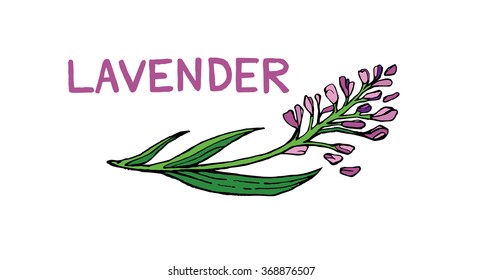 lavender leaf flowers