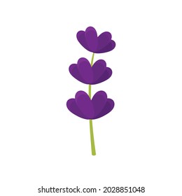 Icono de la hoja de lavanda. Ilustración plana del icono vectorial de la hoja de lavanda aislado en el fondo blanco