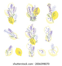 Lavender and lemons. Ten floral arrangements. Vector isolated illustration on white. Perfect for decorating menus, cards, as an isolated element for your design.