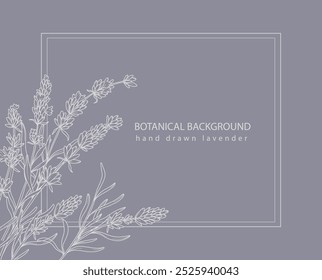 Lavender Line Art. Marco de borde de lavanda.  Fondo botánico lavanda minimalista de moda. Plantilla de Anuncio de lavanda. Ilustración de arte de línea floral. 