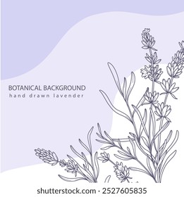 Lavender Line Art. Fondo botánico de moda de lavanda minimalista. Plantilla de fondo de borde floral dibujado a mano. Ilustración de arte de línea floral. Esquema del borde de lavanda. Línea de lujo de arte floral.