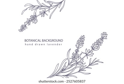 Lavender Line Art. Fondo botánico de moda de lavanda minimalista. Plantilla de fondo de borde floral dibujado a mano. Ilustración de arte de línea floral. Esquema del borde de lavanda. Línea de lujo de arte floral.